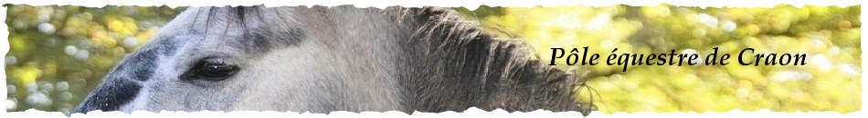 Pôle équestre de Craon